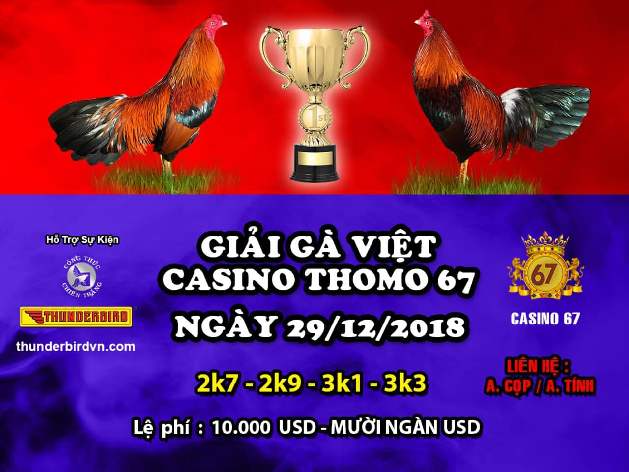 giải đá gà thomo ngày 29/12