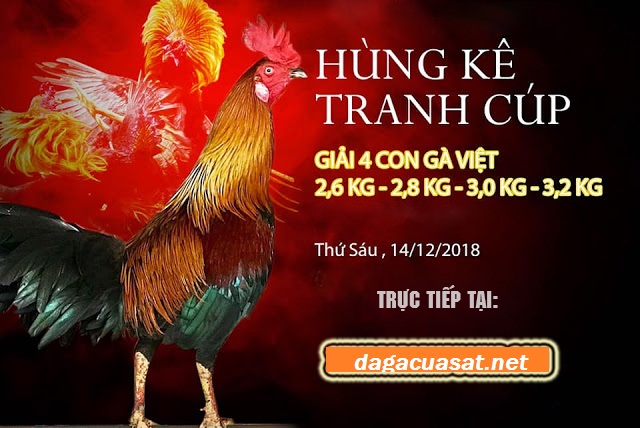 đá gà cựa sắt casino