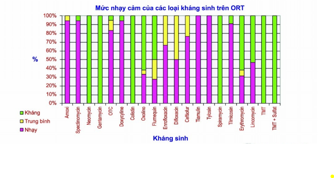 các loại kháng sinh trị ORT