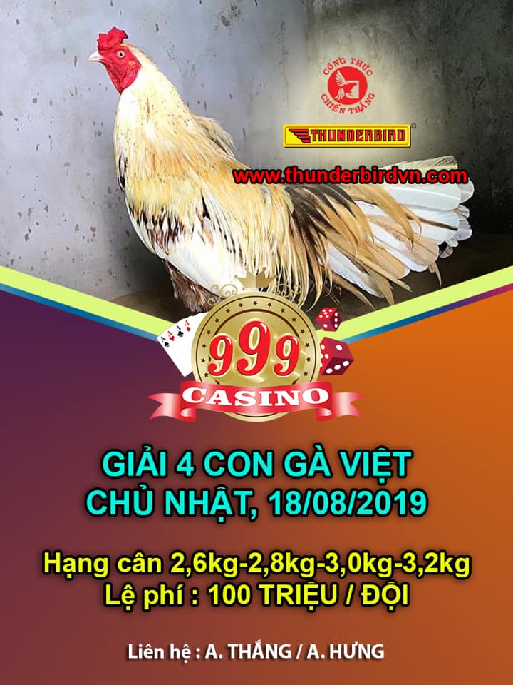 giải gà nòi 18/8