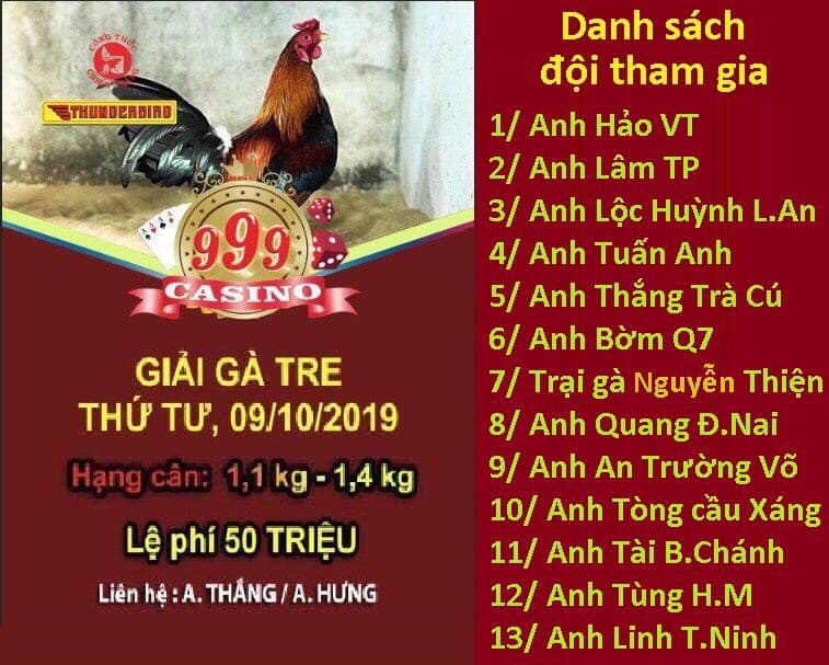 Giải gà tre ngày 9/10