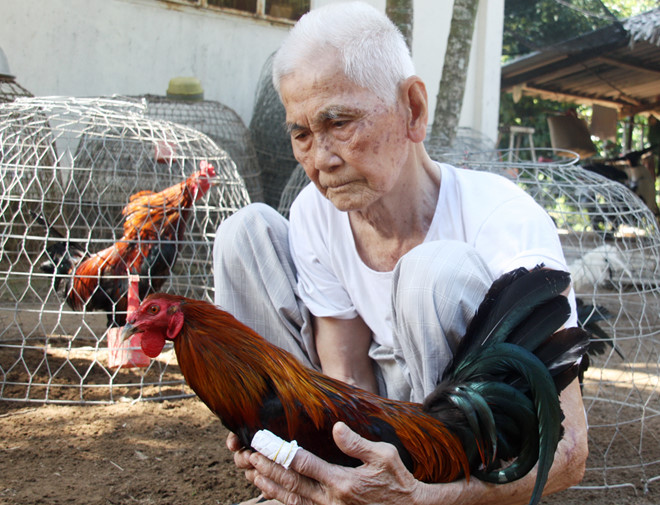 Cụ Ba Cố 