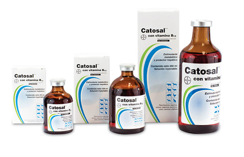 Catosal