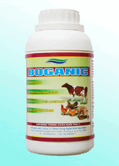 boganic-cho-ga