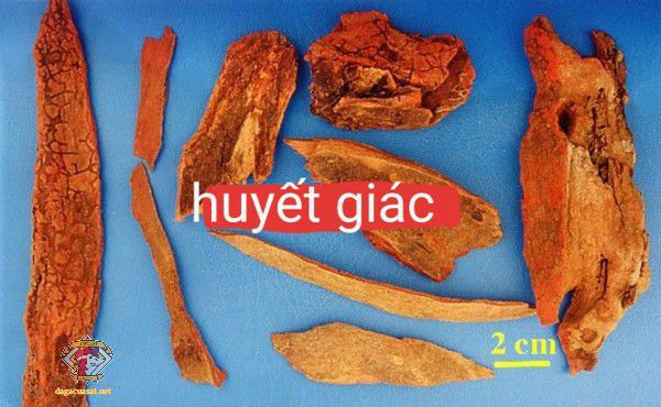 huyet-giac